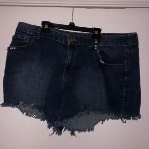 Lane Bryant Frayed Denim Shorts